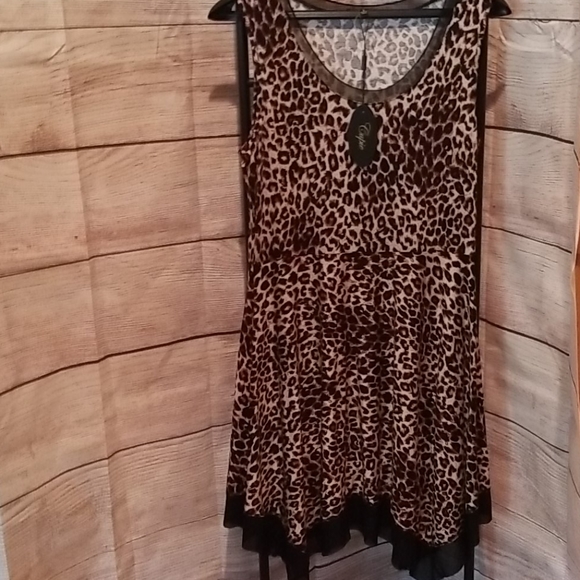 NWT Cupio Dress - Picture 3 of 9